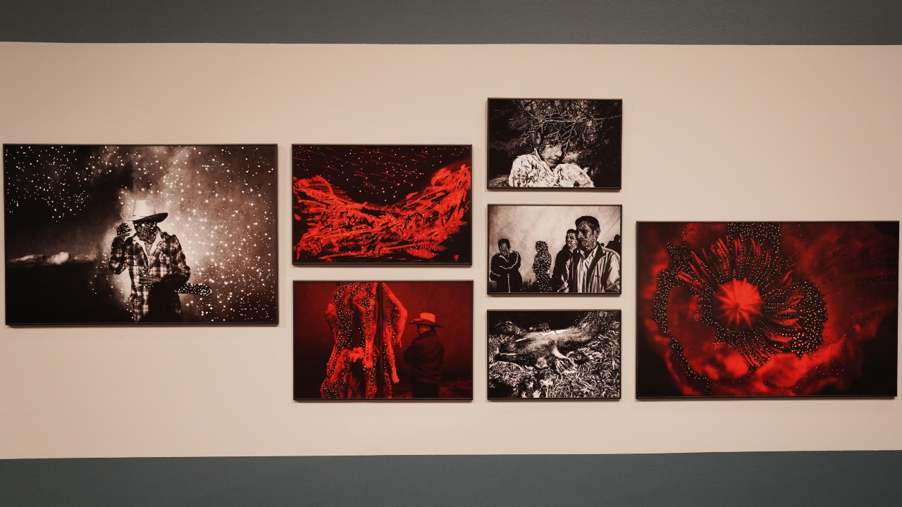 Yael Martínez, el mexicano que ganó el World Press Photo con un proyecto sobre el cultivo de amapola