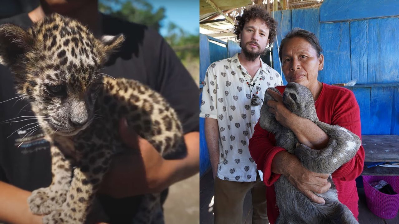 Luisito Comunica hace video con familia que tiene animales exóticos y luego los denuncia