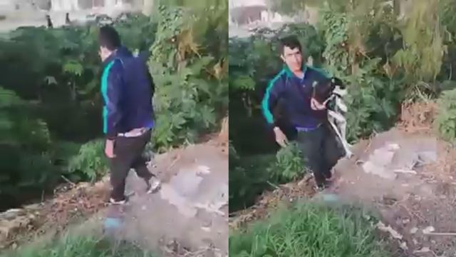 Hombre capta a su vecino lanzando al río a un perrito atado, lo obliga a rescatarlo