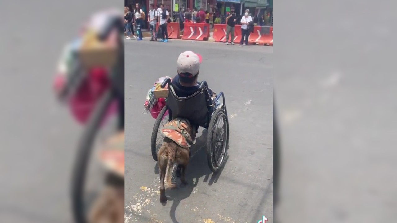 En video se exhibió a un perrito ayudando a un hombre a vender dulces en Ecatepec