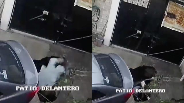 Video: Se abre socavón en el patio de una casa; captan como cae una persona
