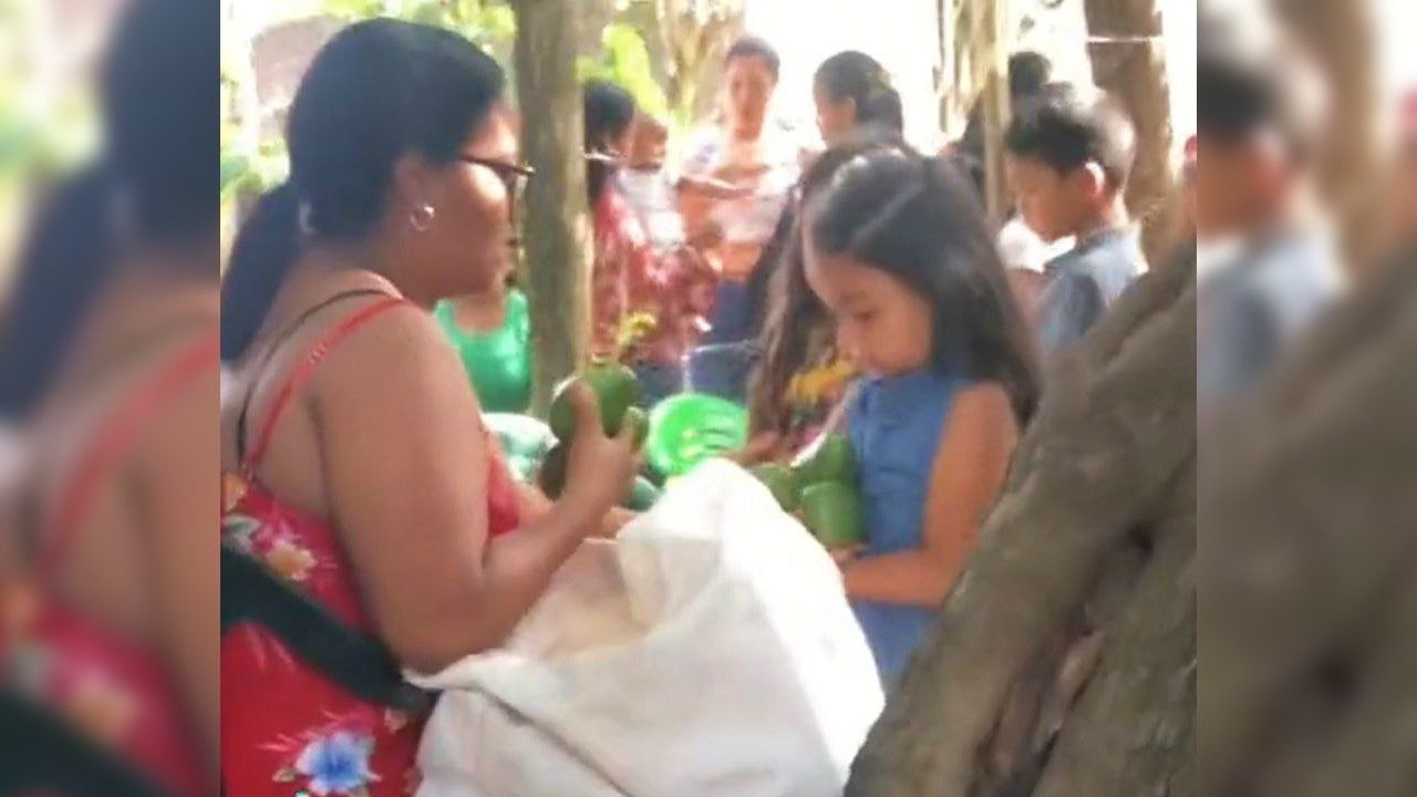 Fiesta millonaria: Mujer regala aguacates en lugar de dulces