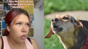 Mujer tuvo que ladrar junto a su perro para evitar que abusaran de ella