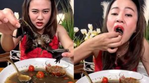 Influencer tailandesa se enfrenta a cinco años de cárcel por grabarse comiendo murciélagos