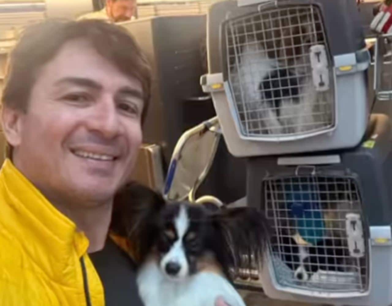 Final feliz: Hombre se reencuentra con sus perritos que perdió una aerolínea