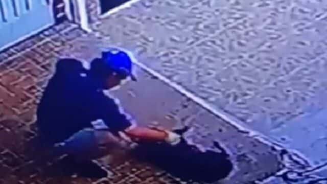 Exhiben a veterinario golpeando a un perrito en plena calle; exigen le quiten su título