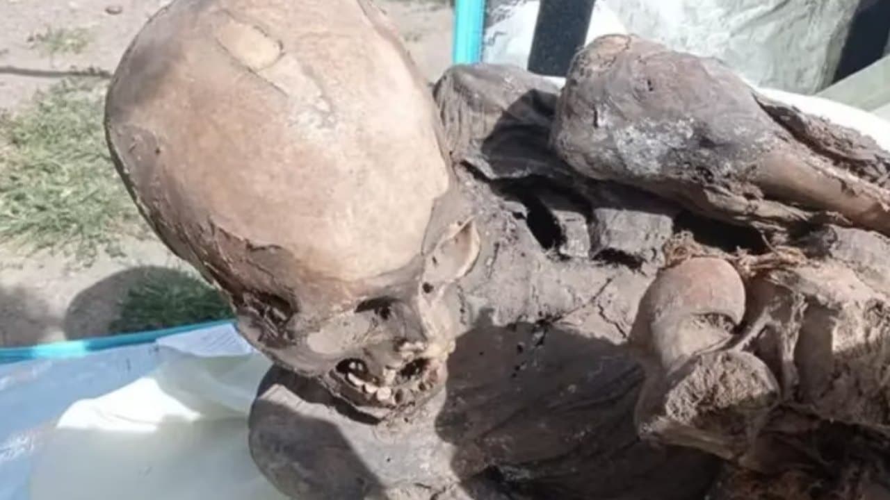 Encuentran una momia de 800 años en la mochila de un repartidor de comida