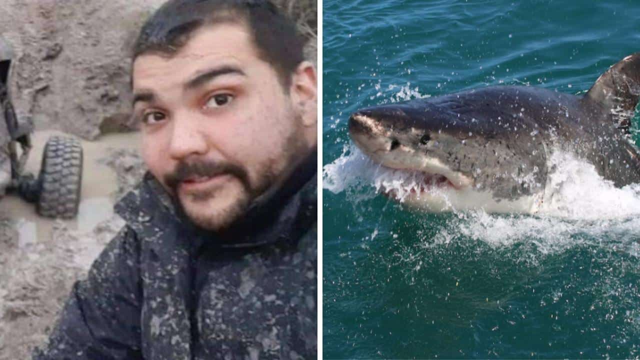 Joven desaparece en la playa y pescador encuentra su cuerpo ¡dentro de un tiburón!
